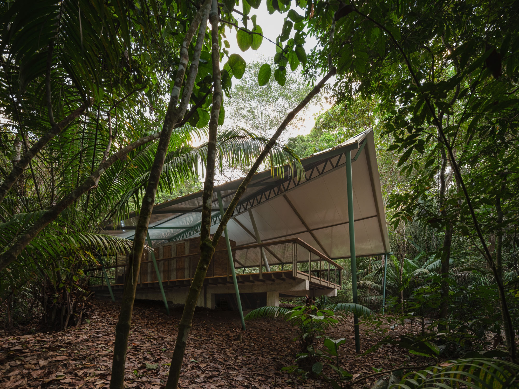 Refugio en el Bosque Tropical