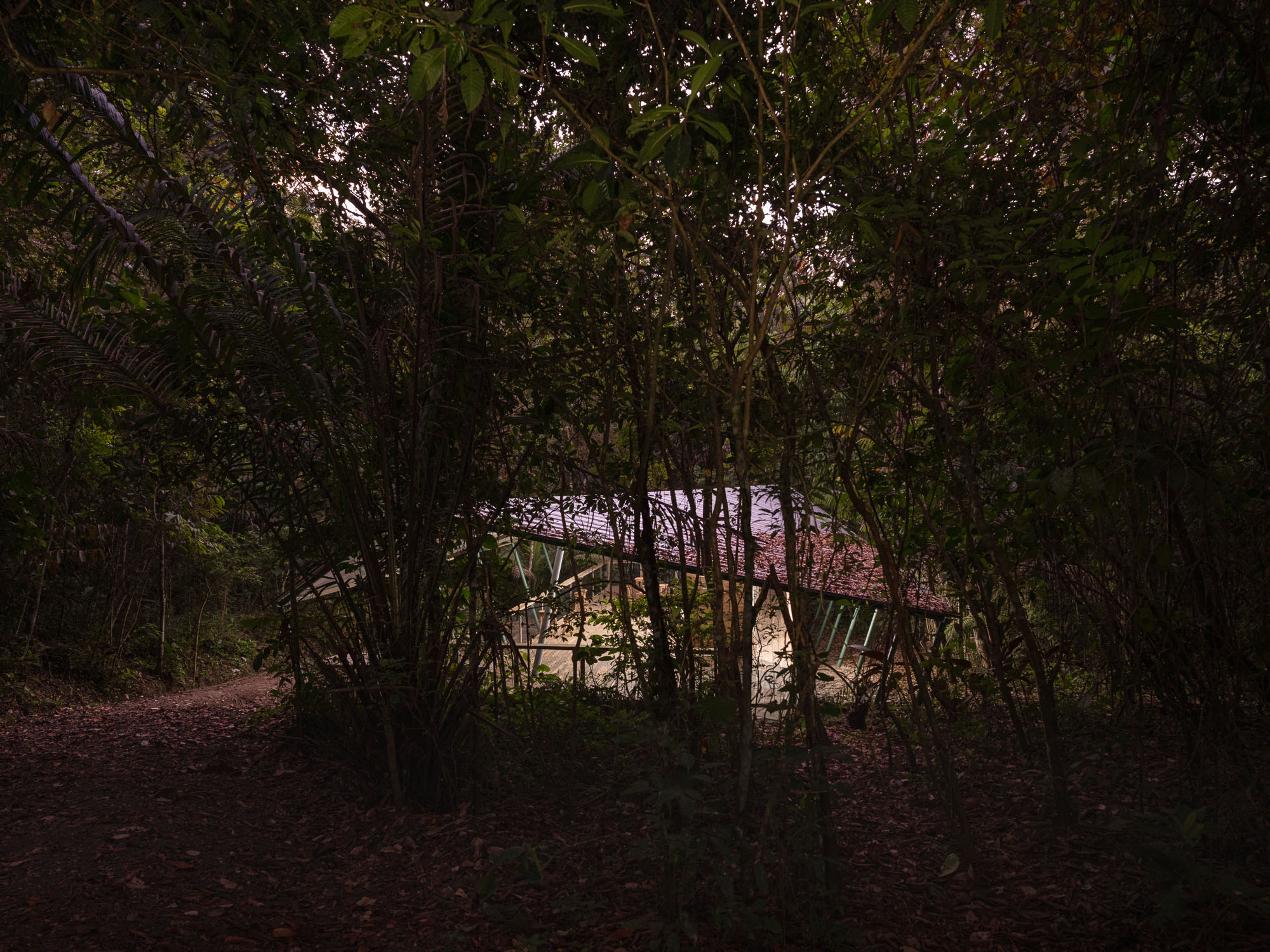 Refugio en el Bosque Tropical. © Fernando Alda